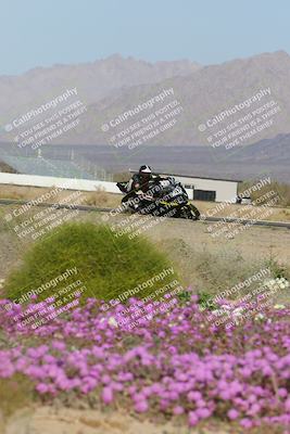 media/Feb-04-2023-SoCal Trackdays (Sat) [[8a776bf2c3]]/Turn 15 Inside Blooming (1050am)/